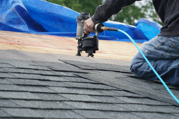 Roof Gutter Cleaning in Salisbury, MO